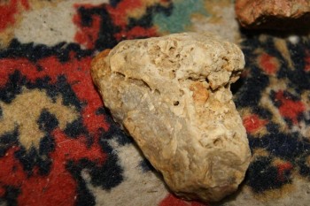 2017-04-07 10-27-32.JPG