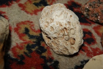 2017-04-07 10-27-50.JPG