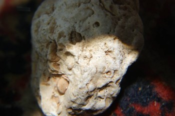 2017-04-07 10-29-02.JPG