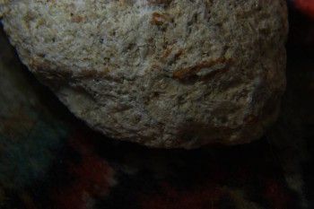 2017-04-07 10-29-24.JPG