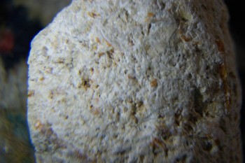 2017-04-07 10-29-52.JPG