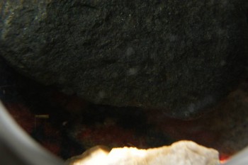 2017-04-07 10-30-36.JPG