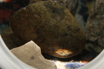 2017-04-07 10-31-02.JPG