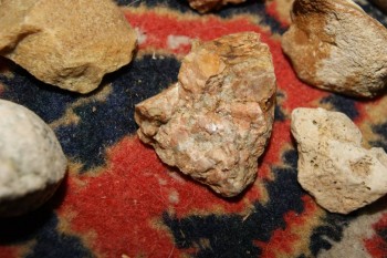 2017-04-07 10-31-30.JPG