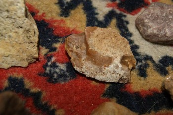 2017-04-07 10-31-42.JPG