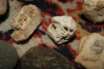 2017-04-07 10-32-06.JPG