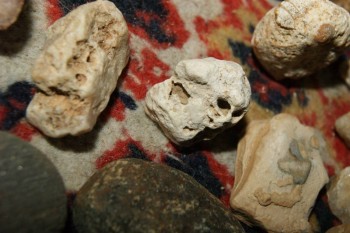 2017-04-07 10-32-14.JPG