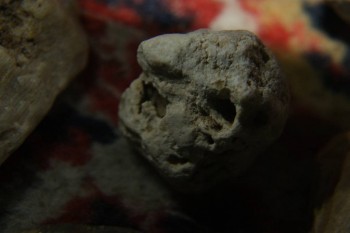 2017-04-07 10-32-30.JPG