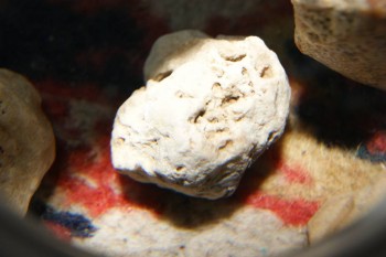 2017-04-07 10-33-18.JPG