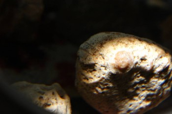 2017-04-07 10-33-38.JPG