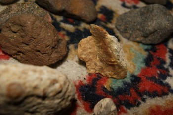 2017-04-07 10-33-50.JPG