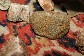 2017-04-07 10-34-32.JPG