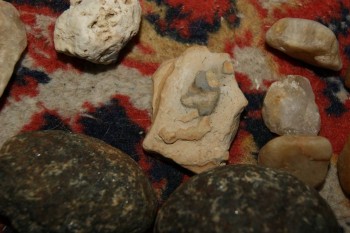 2017-04-07 10-35-40.JPG