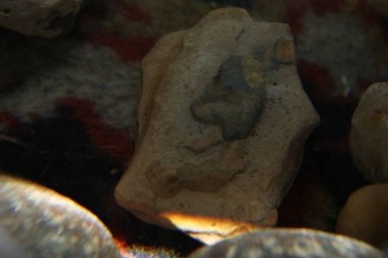 2017-04-07 10-35-50.JPG