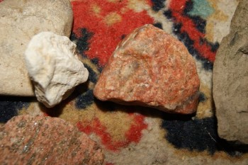 2017-04-07 10-35-56.JPG