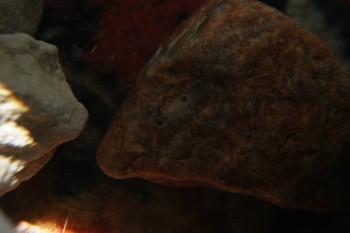 2017-04-07 10-36-04.JPG