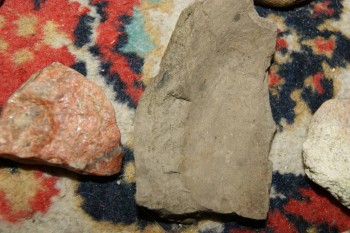 2017-04-07 10-36-24.JPG