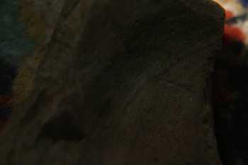 2017-04-07 10-36-38.JPG