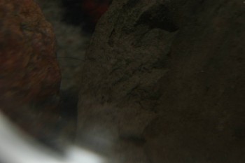 2017-04-07 10-36-54.JPG