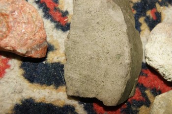 2017-04-07 10-37-06.JPG