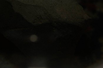 2017-04-07 10-37-30.JPG