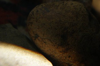 2017-04-07 10-37-42.JPG