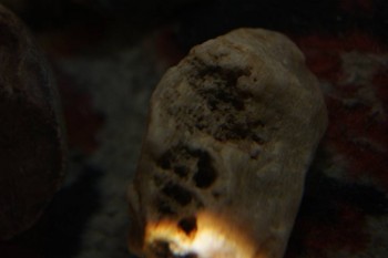 2017-04-07 10-37-56.JPG