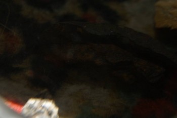 2017-04-07 10-38-08.JPG