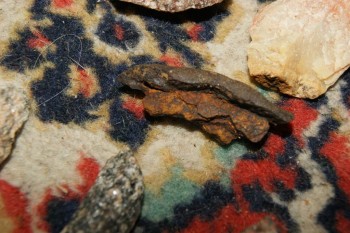 2017-04-07 10-38-12.JPG