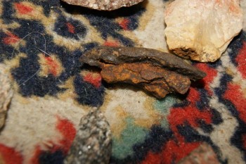 2017-04-07 10-38-16.JPG