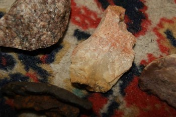 2017-04-07 10-38-22.JPG