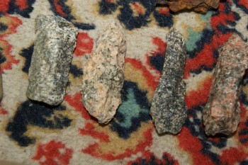 2017-04-07 10-38-36.JPG