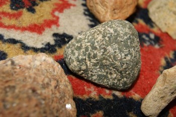 2017-04-07 10-39-16.JPG