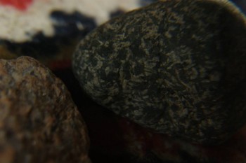 2017-04-07 10-39-26.JPG