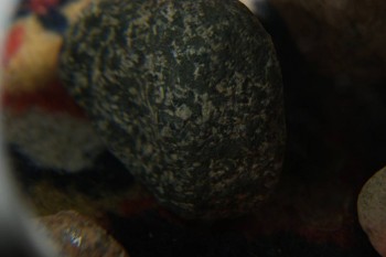 2017-04-07 10-39-40.JPG