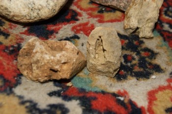 2017-04-07 10-40-06.JPG