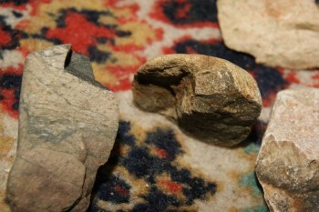 2017-04-07 10-40-28.JPG