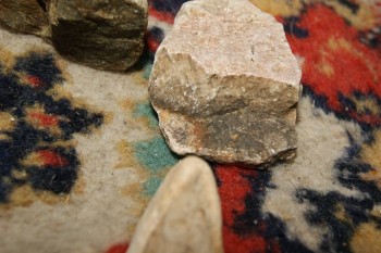 2017-04-07 10-40-32.JPG