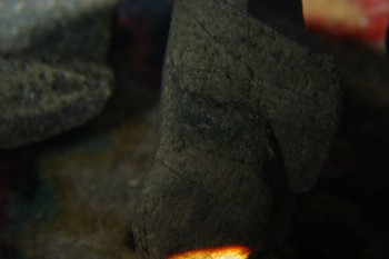 2017-04-07 10-40-40.JPG