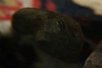 2017-04-07 10-40-54.JPG