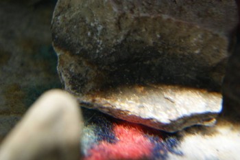 2017-04-07 10-41-02.JPG