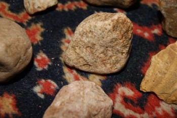 2017-04-07 10-41-10.JPG