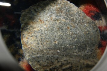 2017-04-07 10-42-28.JPG