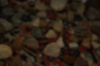 2017-04-07 10-42-34.JPG