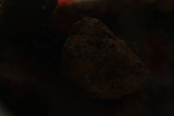 2017-04-07 10-43-10.JPG