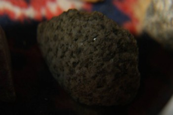 2017-04-07 10-44-02.JPG