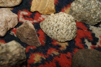 2017-04-07 10-44-08.JPG