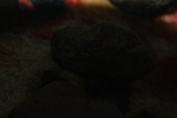 2017-04-07 10-44-16.JPG