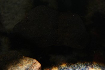 2017-04-07 10-44-30.JPG