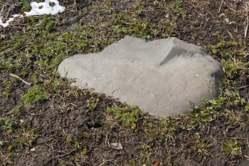 2017-04-20 07-46-54.JPG